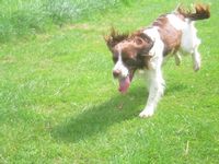 click for a larger view